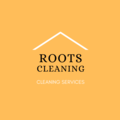 Roots Cleaning