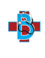 Beulah Nursing Services LLC