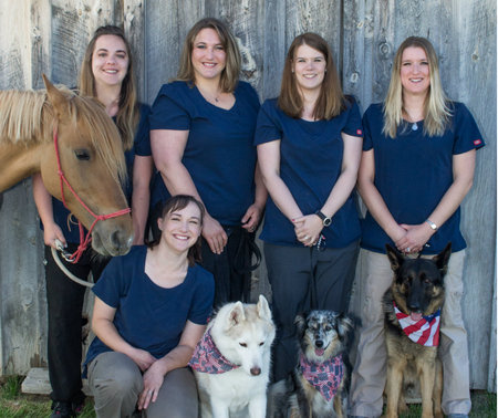 Hardaway Veterinary Hospital