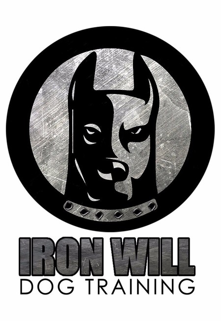 Iron Will Dog Training LLC