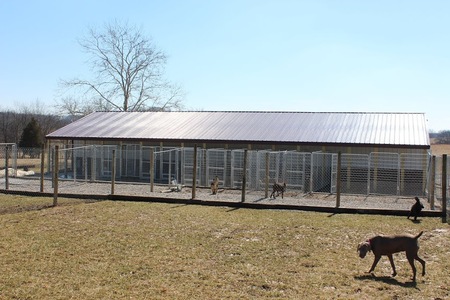 Sweet Pea Kennels