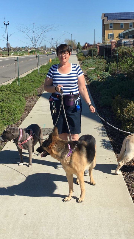 Teresa Allen Pet Sitter/ Dog Walker