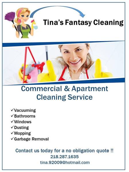 Tina's Fantasy Cleaning