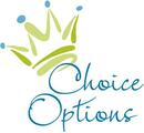 Choice Options Inc. Nanny Agency