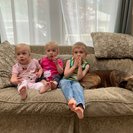 Photo for Tuesday/Thursday After School Babysitter Needed For 3 Children In Highland Park.