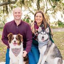 Photo for Part-time Caregiver Needed Who Loves Dogs