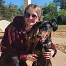 Photo for Walker Needed For 1 Dog In Newnan