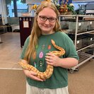 Photo for Exotic Pet Sitter (14 Reptiles)