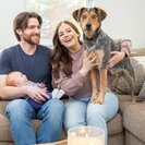 Photo for Nanny Needed For 1 Child In Pembroke.