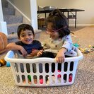 Photo for Babysitter Needed For 3 Children In Naperville.