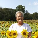 Brenda C.'s Photo