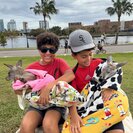 Photo for Babysitter Needed For 2 Children In Tampa.