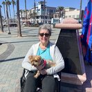 Photo for Hands-on Care Needed For My Grandmother In Huntington Beach