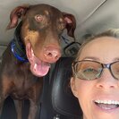 Photo for Doberman Pet Sitting