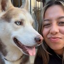 Photo for Dog Lover Needed For Husky!