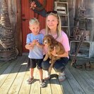 Photo for Nanny Needed For 2 Children In Galena