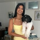Photo for Sitter Needed For 1 Dog In San Juan