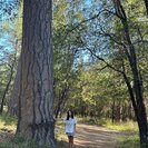 Lillian W.'s Photo