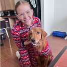 Photo for Browsing For A Pet Sitter For A Golden Retriever And Turtle. No Dates Set Yet.