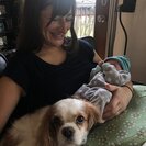 Photo for Nanny Needed For 2 Children In Astoria