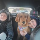 Photo for Nanny Needed For 2 Children In Roseville.