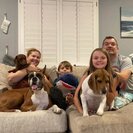 Photo for House Manager Needed For 2 Tweens And 3 Fur Children In Manhattan Beach.