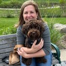 Photo for Walker Needed For 1 Dog In Ann Arbor