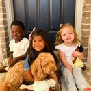 Photo for Part-time Nanny Needed For 3 Children In Pflugerville.