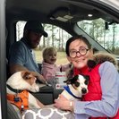 Photo for Caring Nanny Needed For 1 Child In Columbia. Must Love Dogs!