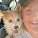 Photo for Puppy Potty Trip & Around The Block Puppy Walk