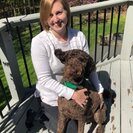 Photo for Summer Nanny Needed For Twins (2.5 Years Old) And A Labradoodle In West Chester, PA