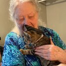 Photo for Hands-on Care Needed For My Grandmother In Everett