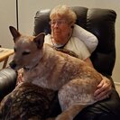 Photo for In-Home Caregiver Needed For 91-Year-Old Woman In Hemet, CA