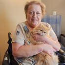 Photo for Hands-on Care Needed For My Mother In Mogadore