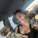 Photo for Looking For A Pet Sitter For 2 Dogs In Phoenix