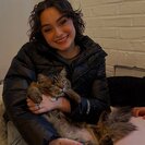 Kassy W.'s Photo