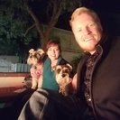 Photo for Looking For A Pet Sitter For 2 Dogs In San Diego