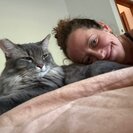 Photo for Sitter Needed For 1 Cat In Boulder