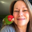 Photo for Looking For A Pet Sitter For 3 Birds In Seattle