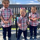 Photo for Babysitter Needed For 3 Children In Bridgeport.