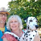 Photo for Boarding Needed For Cute Dalmatian In Santa Rosa Area