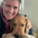 Photo for Looking For A Dog Walker/Hiker/Sitter & Household Help (For 1 Golden, In Lafayette)