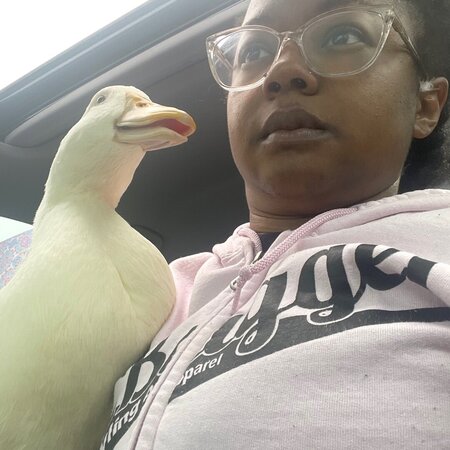 Duck Pet Sitter