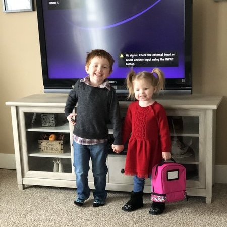 Babysitter Needed For 2 Children In Hudsonville.