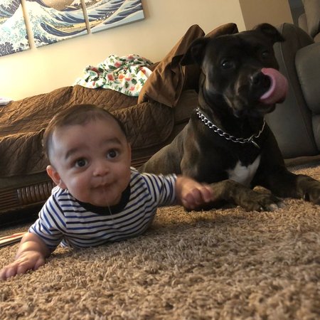 Nanny Needed For 2 Children In Alto