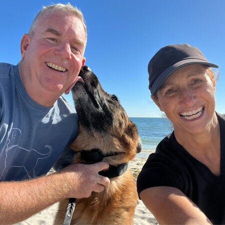 Looking For A Pet Sitter For A German Shepherd In South Yarmouth
