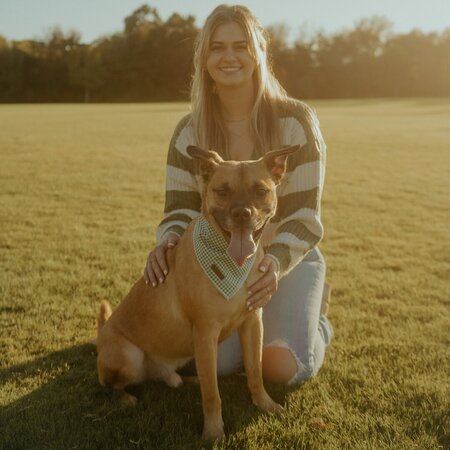 Looking For A Pet Sitter For 1 Dog In Austin