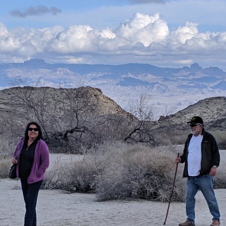 Looking For A Dependable House Cleaner For Family Living In Lake Havasu City.