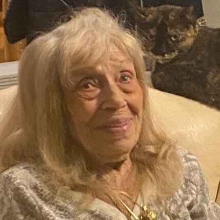 Companion Care Needed For My Mother In North Oak Park