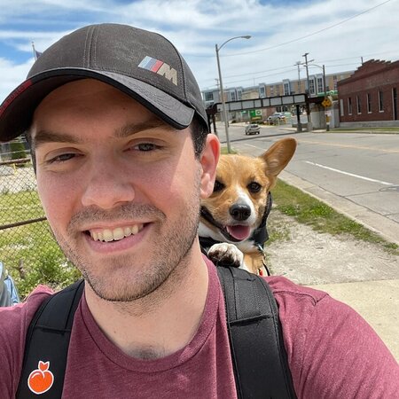 Weekday Lunchtime Visits For 1 Corgi